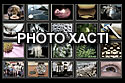 galerie photos